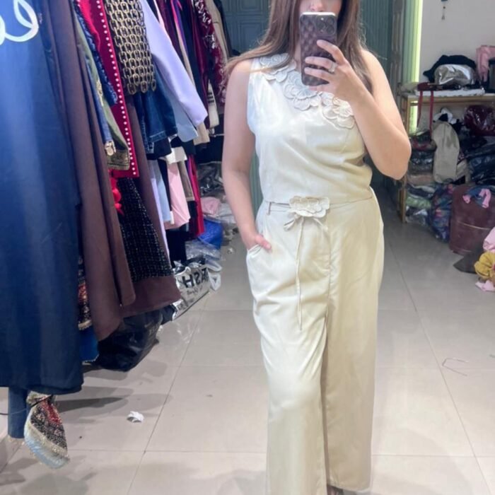 Beautiful Casual Wear Dress